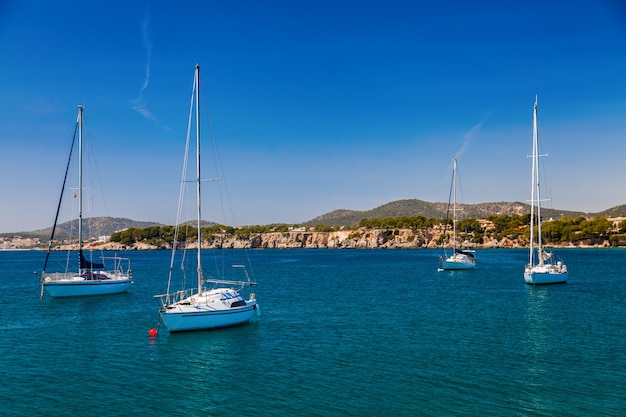 Photo small yachts in the bay of portals nous