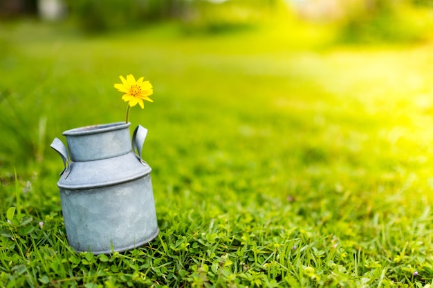 small yellow flower in metal can