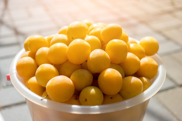 Small yellow fruits.