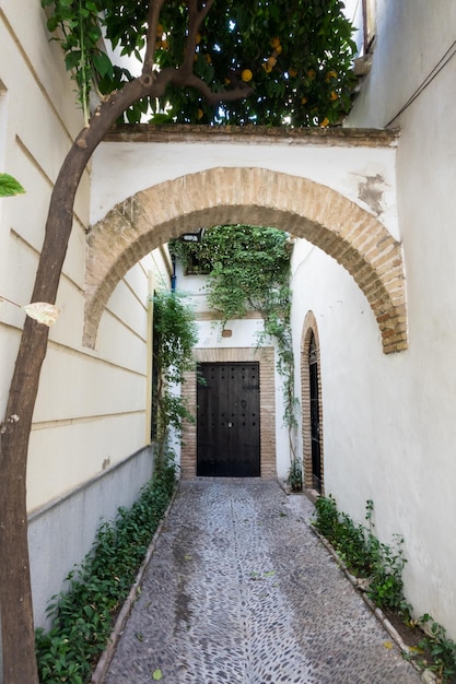 Smalle ingang in de straat van Cordoba in Spanje