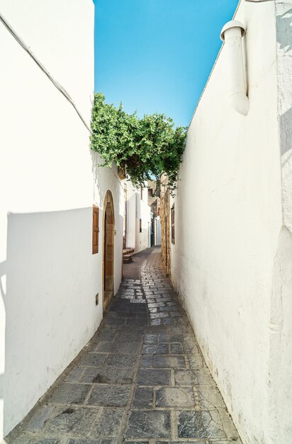 Smalle straatjes met witgekalkte huizen en bloeiende struiken in de historische Griekse stad Lindos