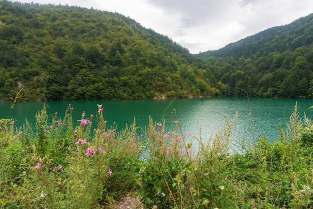 Smaragdgroen water in de rivier en paarse bloemen op een achtergrond van beboste bergen