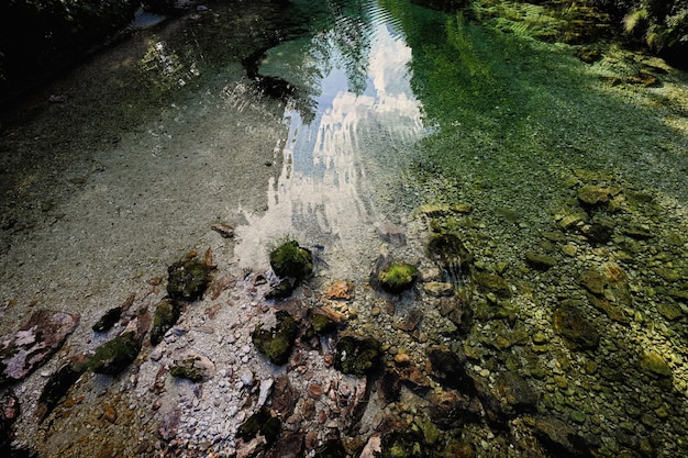 Smaragdgroen water van de rivier de Sava Bohinjka in de Julische Alpen Ukanc, Slovenië