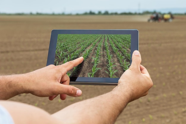 Agricoltura intelligente. agricoltore che utilizza la piantagione di mais tablet. concetto di agricoltura moderna.