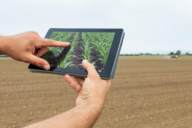 Agricoltura intelligente. agricoltore che utilizza la piantagione di mais tablet. concetto di agricoltura moderna.