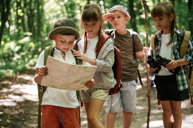 Smart boy is reading the map Kids in forest at summer daytime together