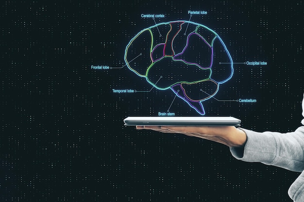 사진 디지털 태블릿으로 뇌 부분 구성표와 인간의 손을 사용한 스마트 뇌 개념