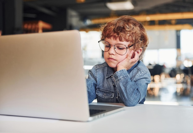 Smart child in casual clothes and in glasses using laptop for education purposes