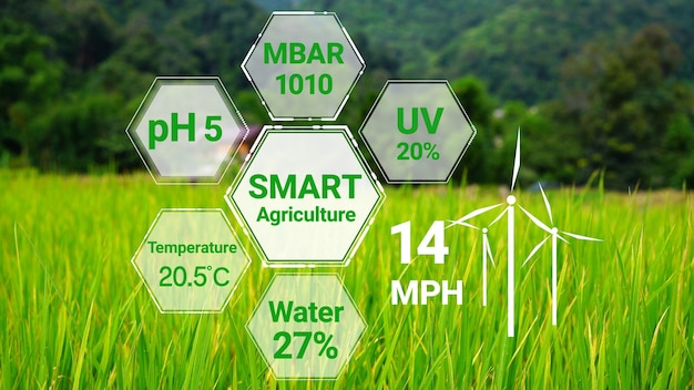 Smart digital agriculture technology by futuristic sensor data collection