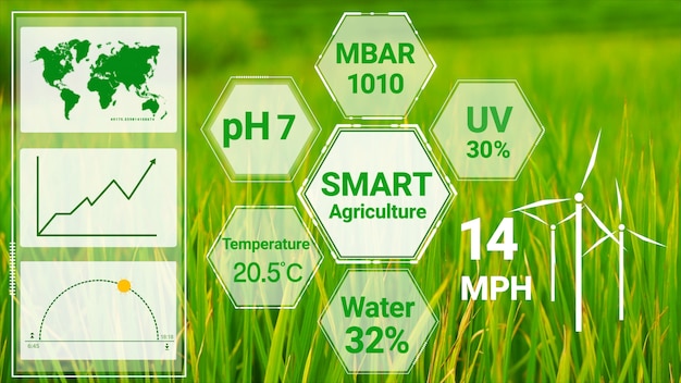 Tecnologia intelligente per l'agricoltura digitale grazie alla futuristica raccolta dei dati dei sensori