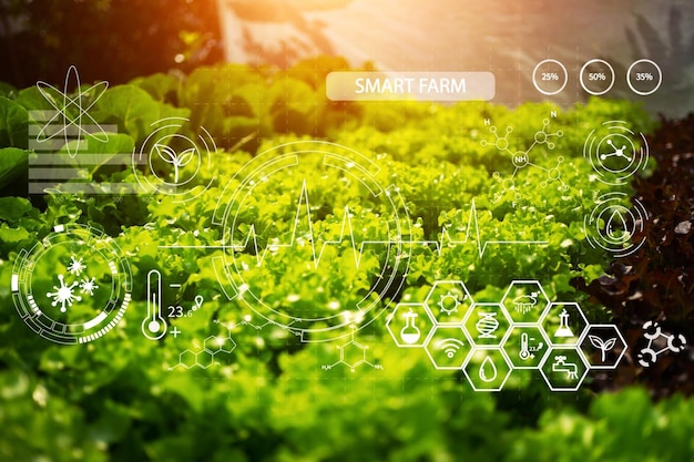 Photo smart farm on a farm screen with a digital screen showing smart farm.