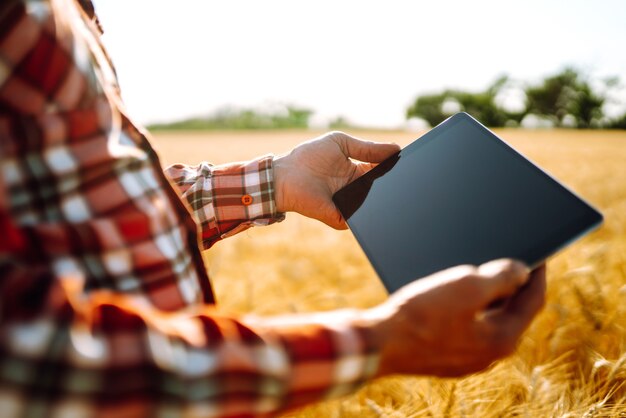 Smart farm. Farmer with a tablet in his hands on an agricultural field. Harvesting concept.