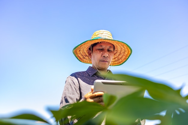 Smart farmer un uomo asiatico usa un tablet per analizzare i raccolti che coltiva nella sua fattoria durante il giorno.