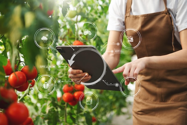 Smart farmer using application by tablet concepts modern vegetables and tomato at greenhouse and visual iconSmart farming xA