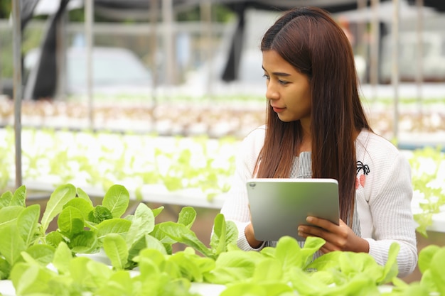 写真 賢明な農家は、顧客のニーズに対応するために植物の成長を監視しています。