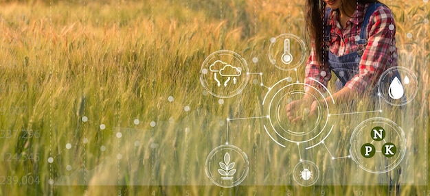 Smart farming concept Farmer with technology digital tablet on background of wheat field Professional farmers use internet of things IOT computers system to manage farms agriculture modern idea