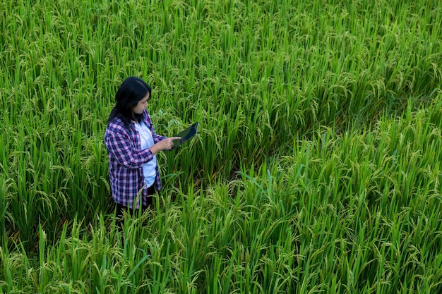Smart Farming met Internet of Things IoT-concept Landbouw en moderne technologie