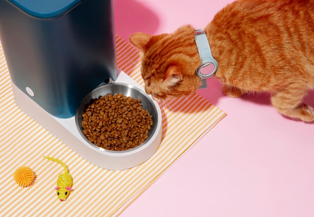 Photo smart feeder for pets still life