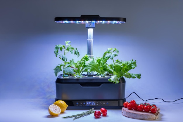 Smart indoor garden with uv lamp