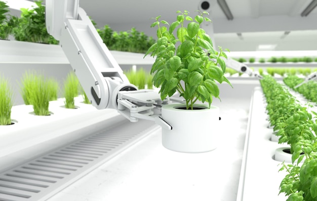 Smart robotic farmers concept Robot arm picking up organic vegetables