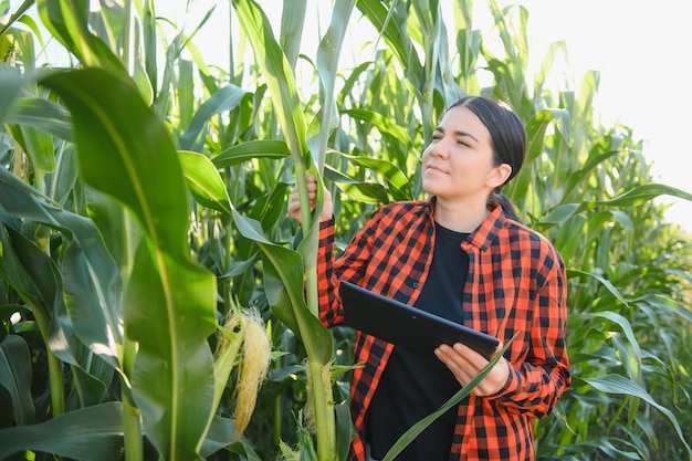 Smart woman farmer agronomist using digital tablet for examining and inspecting quality control of produce corn crop Modern technologies in agriculture management and agribusiness