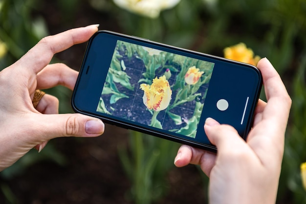 Smartphone in de handen van het fotograferen van bloemen