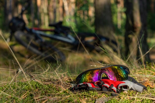 Smartphone is charged using a portable charger. Power bank in the forest on the background of a bicycle.