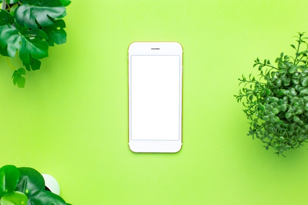 Smartphone mobile phone with white screen and green plant on green background