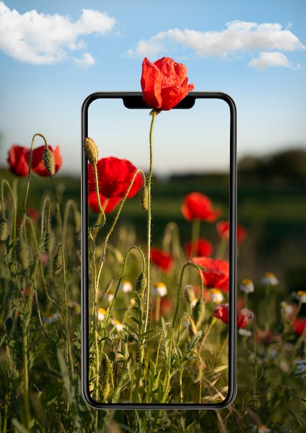 Foto smartphone nel concetto di natura