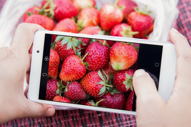 Smartphone taking strawberry fruit photo 