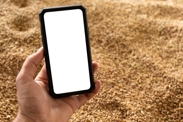 Smartphone ter beschikking op de achtergrond van geoogst graan