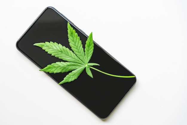 スマートフォン 画面に大麻の葉が 白い背景に隔離されています