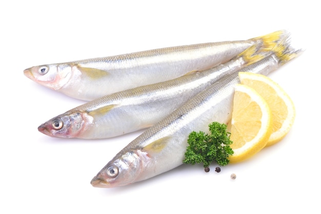 Smelt fishes isolated on white background