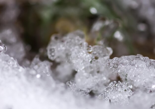 Foto smeltende sneeuw en ijs op gras in wild bos seizoensverandering in de natuur