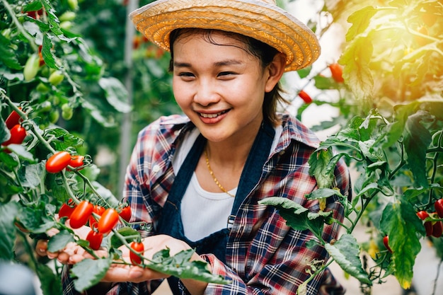 写真 笑顔のアジア人女性が料理用の新鮮なトマトをプレゼントする