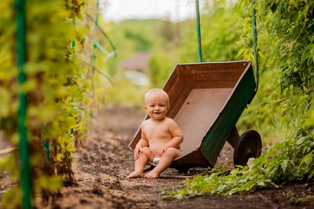 smiling baby in a garden wheelbarrow in the country