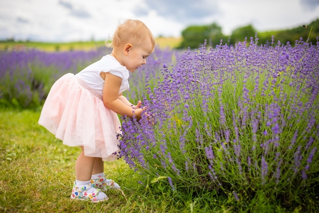 Smiling baby girl in pink dress in a lavender field in Czech republic