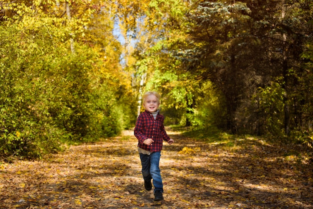 Smiling blond boy running on the autumn alley. Sunny day