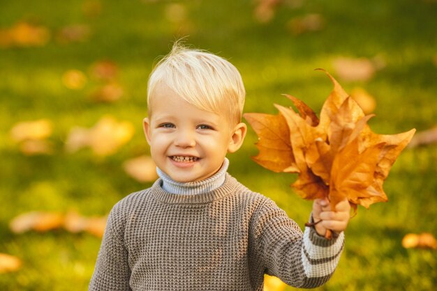 Улыбающийся блондин держит осенние листья на природе Милый маленький мальчик играет с листьями в осеннем парке Улыбающееся детское лицо Осенние листья детская концепция
