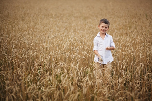 Smiling boy in summer field The concept of freedom and happy childhood