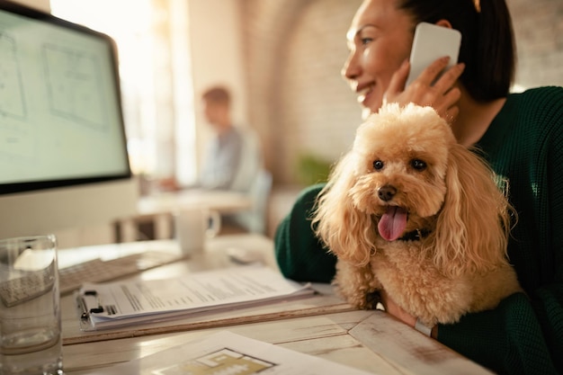 Smiling businesswoman talking on the phone while holding her poodle in the office Focus is on dog