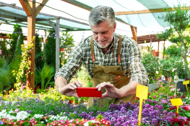 Smiling Caucasian Senior Worker Capturing Colorful Inventory in Lush Plant Nursery with Mobile