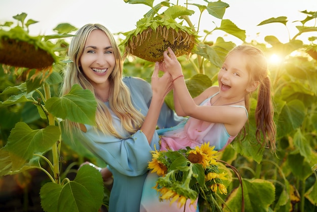 Smiling charming mom and daughter brush a large sunflower getting to the seeds while walking across the field on a warm summer day. Family weekend concept