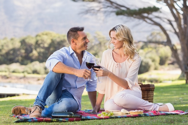 Smiling couple drinking wine and toasting 