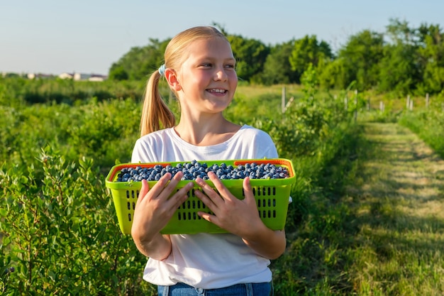La figlia sorridente degli agricoltori raccoglie i mirtilli e tiene un cesto di frutti di bosco