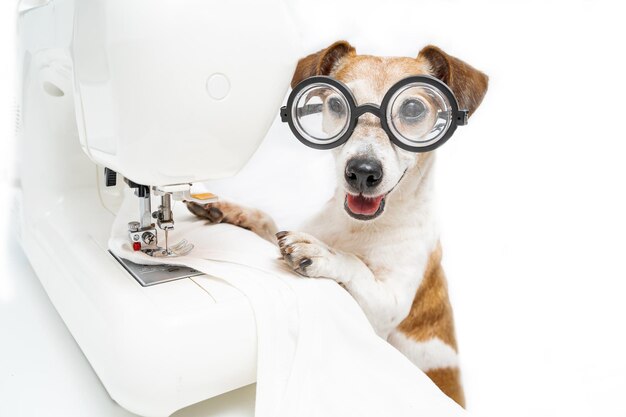 Foto sarto sorridente del progettista dei vestiti del cane in vetri che osservano con attenzione. usando la macchina da cucire