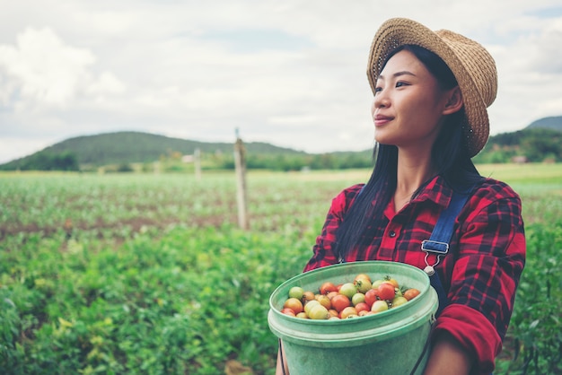 Smiling farmer in the tomato field