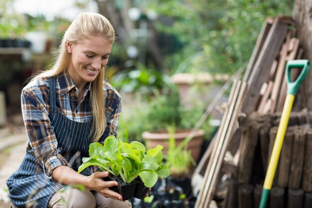 鉢植えの植物を保持している笑顔の女性庭師