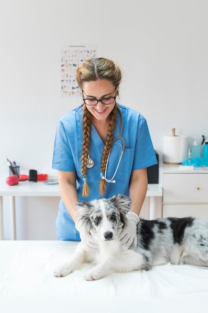 写真 テーブルに横たわっている犬を調べている女性の獣医師に笑顔