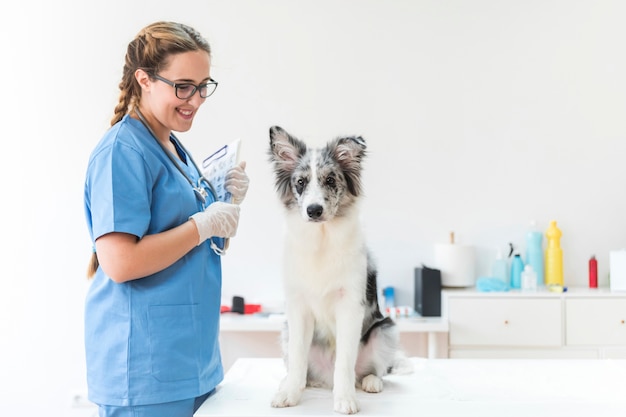 Lavagna per appunti femminile sorridente della tenuta del veterinario che esamina cane sulla tavola in clinica